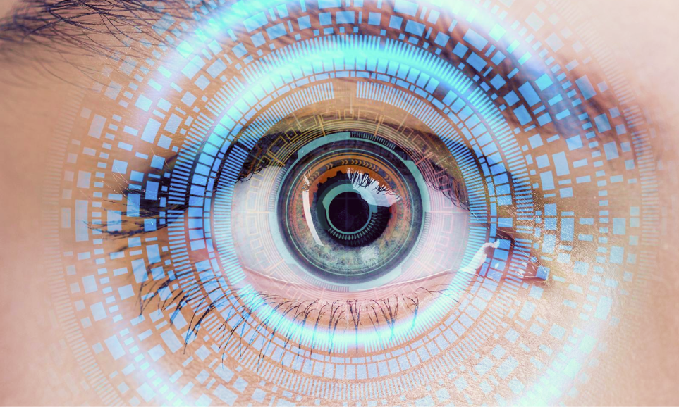 Unsere Partnerlandschaft wächst - Umami View x Evolucare